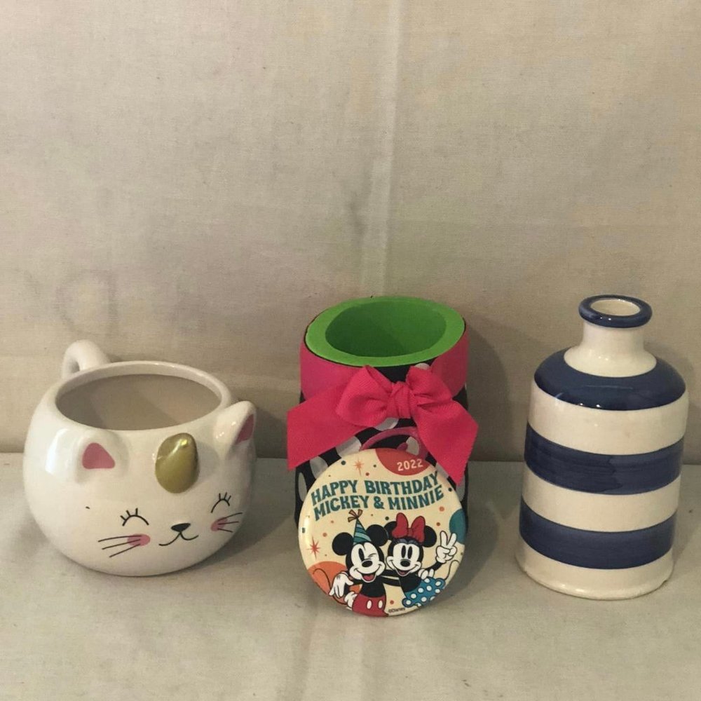 Set of 4 Mickey Pin, Cat mug, Blue/White vase & Koozie